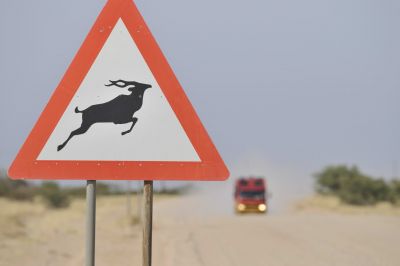 11.07 Sori Soris 008