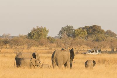 15.07 KAZA PB 63 Elephants