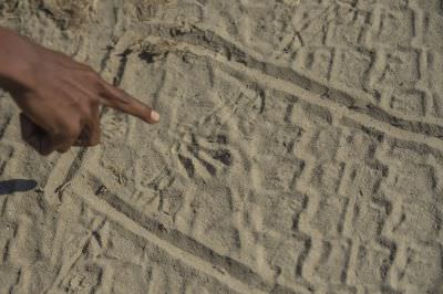 15.07 KAZA GB 1095 Tracking