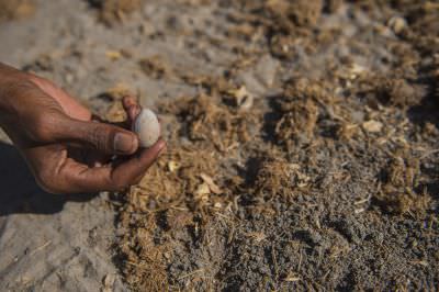 15.07 KAZA GB 1109 Tracking