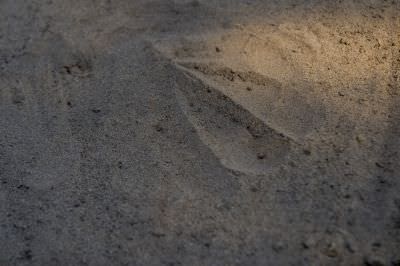 15.07 KAZA GB 1173 Spoor