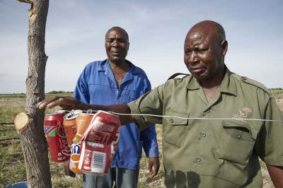 16.01 Film Zambezi 068 Elephant fence