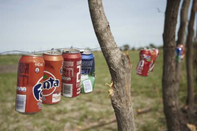 16.01 Film Zambezi 075 Elephant fence