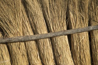 16.06 Kavango 47 Thatching grass