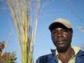 16.06 Kavango 142 Thatching grass