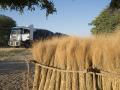 16.06 Kavango 66 Thatching grass