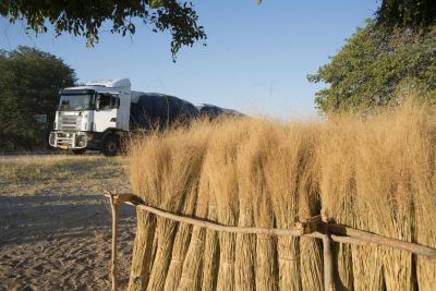 16.06 Kavango 66 Thatching grass