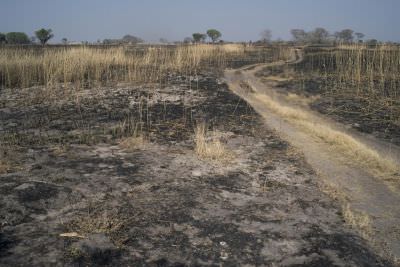 18.09 Zambezi 103 Burning