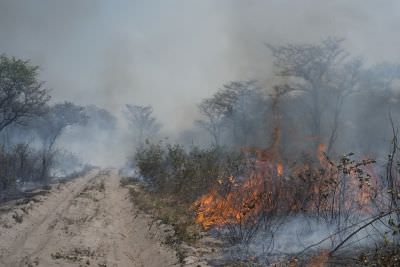 18.09 Zambia 2 Fire