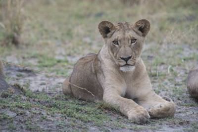 18.12 Zambezi Hol 179