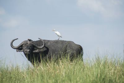 18.12 Zambezi Hol 44