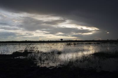 18.12 Zambezi Hol 228