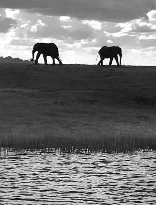 1812 Zambezi Hol 135