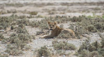 1904 CWCP Indicator6 008