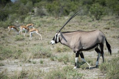 1904 CWCP Indicator6 031