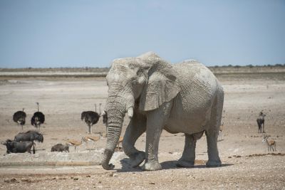 1904 CWCP Indicator6 045