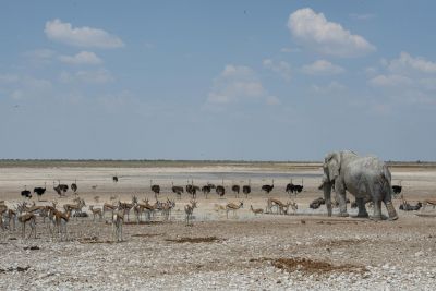 1904 CWCP Indicator6 057