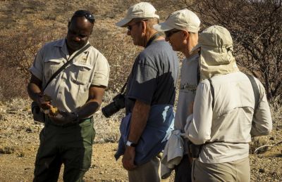 1908 Rhino tracking 001