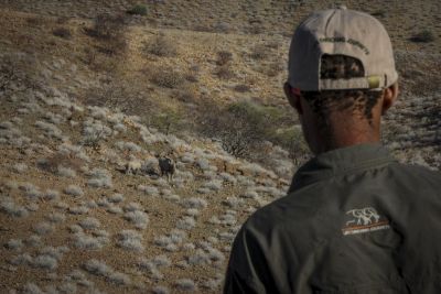 1908 Rhino tracking 002