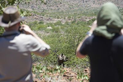 13.12  Kunene 154  Rhino tracking