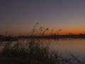 15.07 KAZA GB 1037 Kavango river