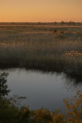 15.07 KAZA GB 1627 River