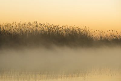 15.07 KAZA PB 109 Kwando river