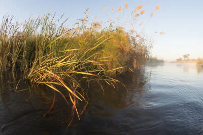 15.07 KAZA PB 112 Kwando river