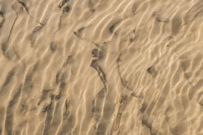 15.07 KAZA PB 124 Kwando river