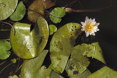 15.07 KAZA PB 134 Kwando river