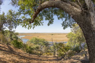 15.07 KAZA PB 45 Kwando river