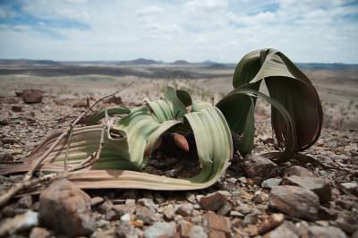 17.03 Side Tracks 046